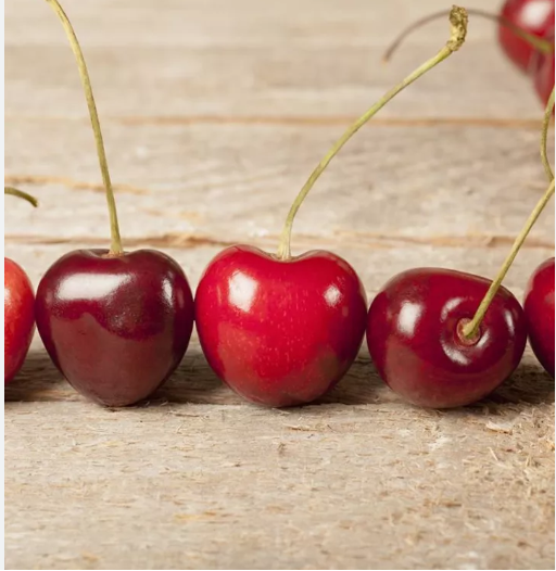 Čerešňa stĺpová ´Sara´, kont. 5l