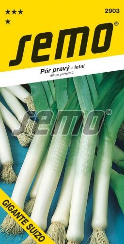 Semo Pór pravý ´Gigante Suizo´