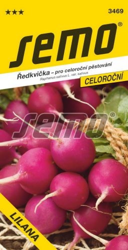 Semo Reďkovka fialová ´Lilana´