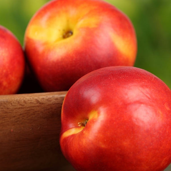 Nektarinka "Stark Red Gold" neskorá, podp. GF677, voľnok.