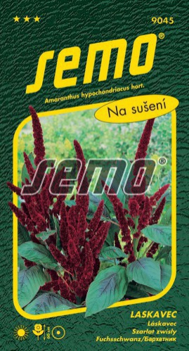 Semo Láskavec ´Pygmy Torch´