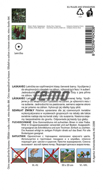 Semo Láskavec ´Pygmy Torch´