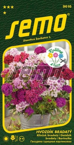 Semo Klinček bradatý ´Fragrance Mix´