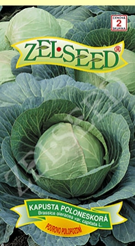Zelseed Kapusta hlávková ´Pourovo Polopozdní´