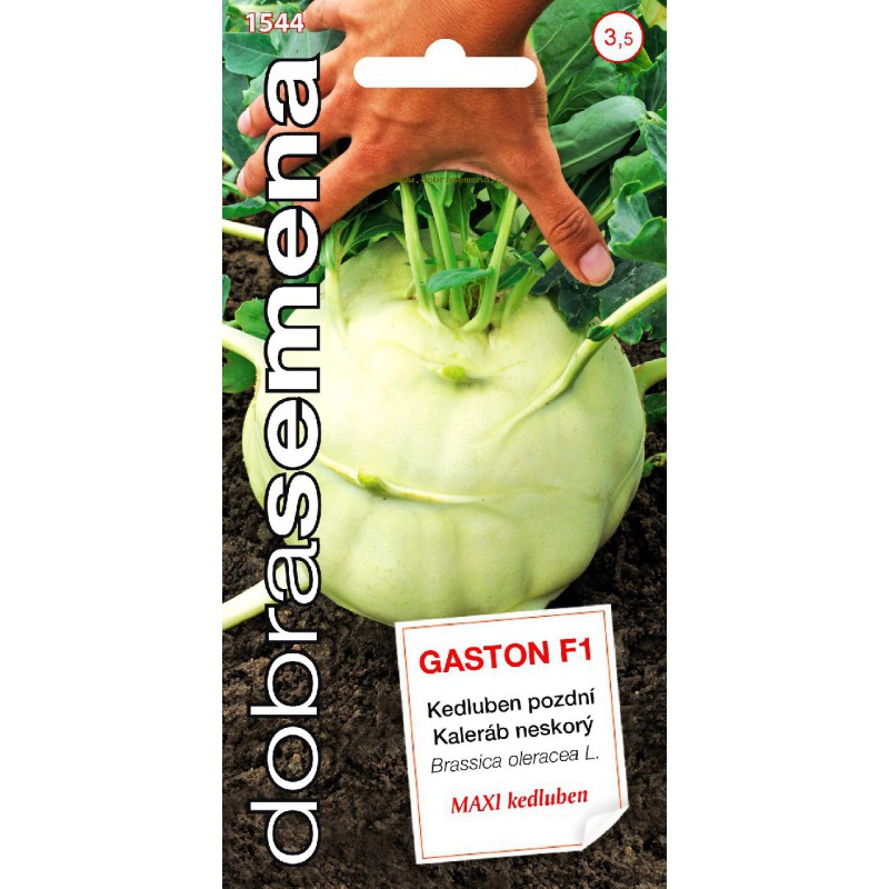 Dobrá semena Kaleráb ´Gaston F1´