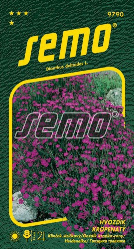 Semo Klinček slzičkový ´Maiden Pink´