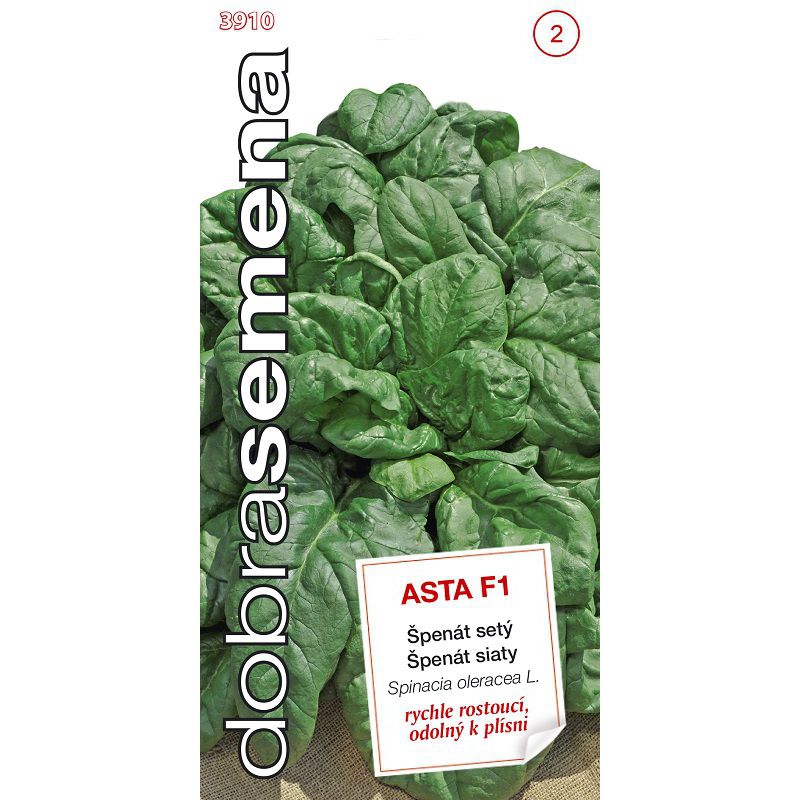 Dobrá semena Špenát siaty ´Asta F1´