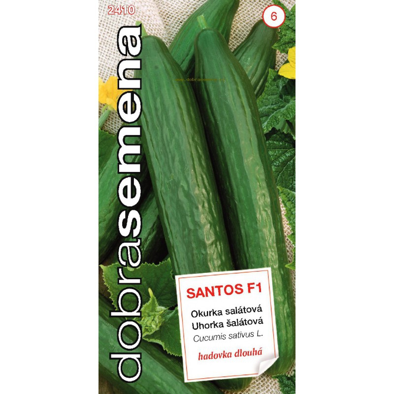 Dobrá semena Uhorka siata šalátová ´Santos F1´