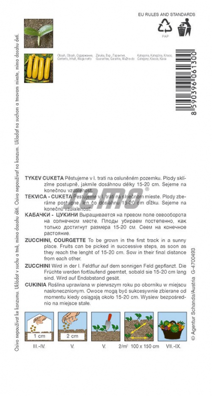 Semo Tekvica cuketa  ´Orelia F1´