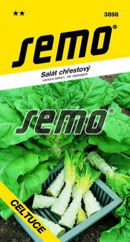 Semo Šalát špargľový ´Celtuce´