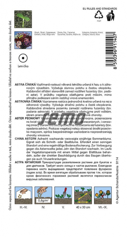 Semo  Astra čínska ´Matsumoto Zmes´