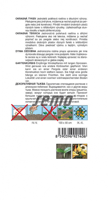 Semo Tekvica okrasná ´Andelská Krídla´