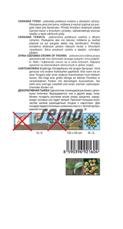 Semo Tekvica okrasná ´Trnova koruna´