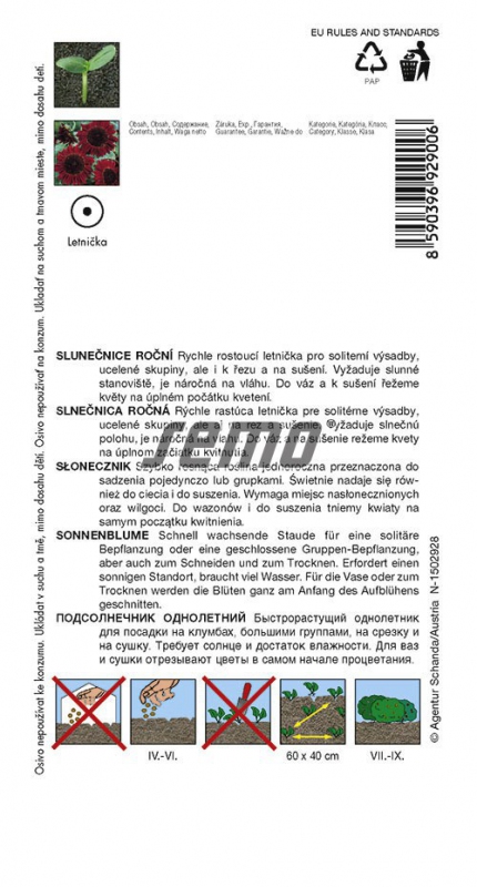 Semo Slnečnica ročná ´Červená´