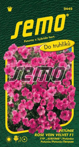 Semo Petúnia ´Rose Vein Velvet F1´