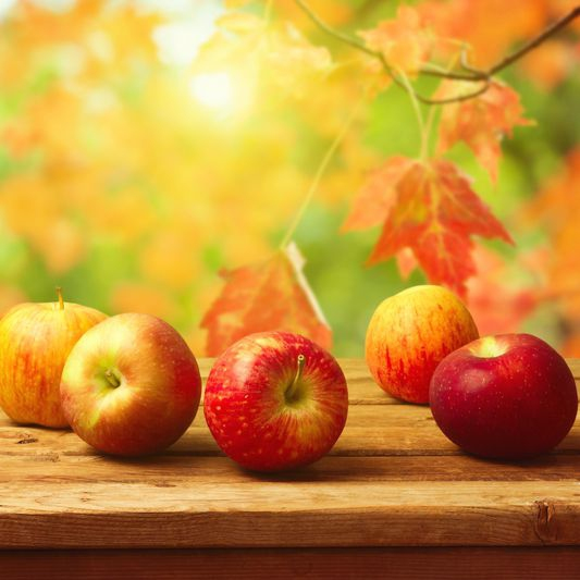 Jabloň Jonathan zimná, podpn. MM106, voľnok.