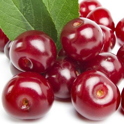 Višňa "Érdi Bötermö" poloskorá, podp. Gisela5, voľnok.