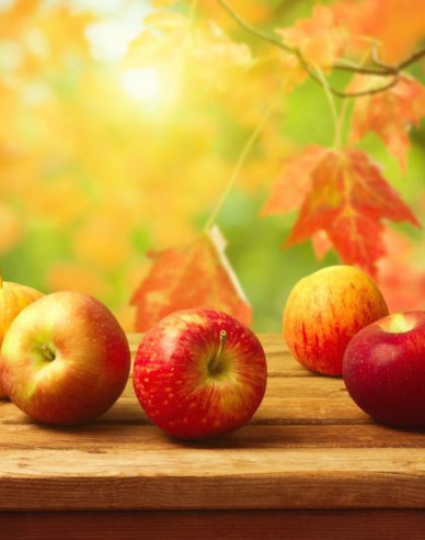 Jabloň Jonathan zimná, podpn. MM106, kont. 5l