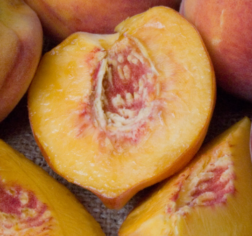 Nektarinka zakrslá Mini ´HONEY GOLD´, podp. Semenáč, voľnok.