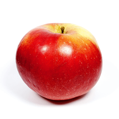 Jabloň ´Idared´ zimná, podp. M9, kont. 5l