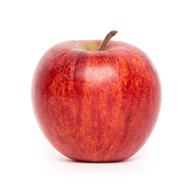 Jabloň "Gala" zimná, podp. M26, voľnok.