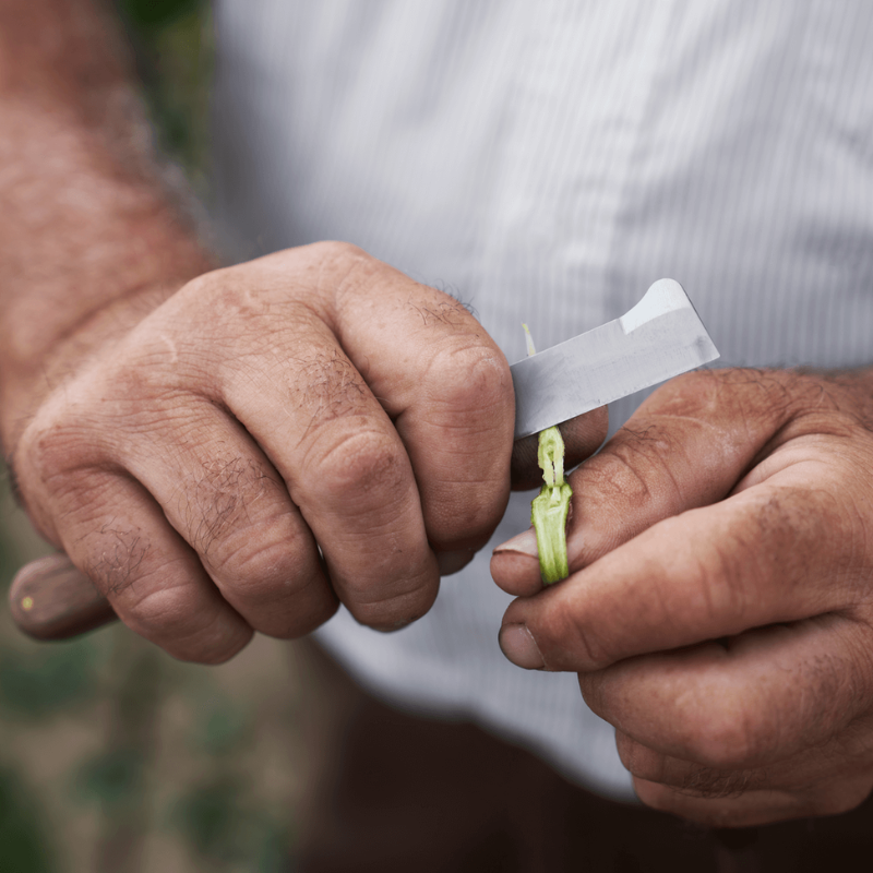 FELCO 512  Vrúbľovací nôž