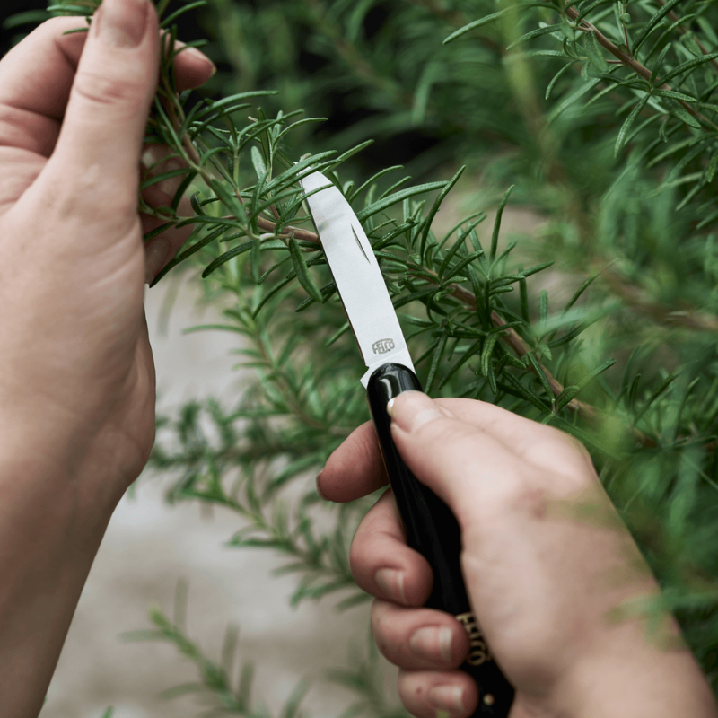 FELCO 520 Floristický nôž