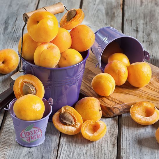 Marhuľa "Karola" neskorá