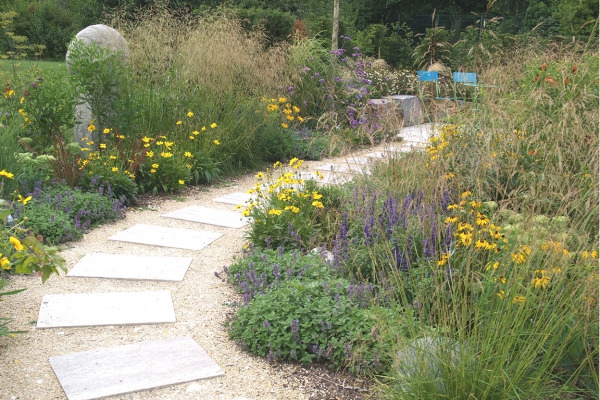 Metlica ’Goldschleier’ 9x9