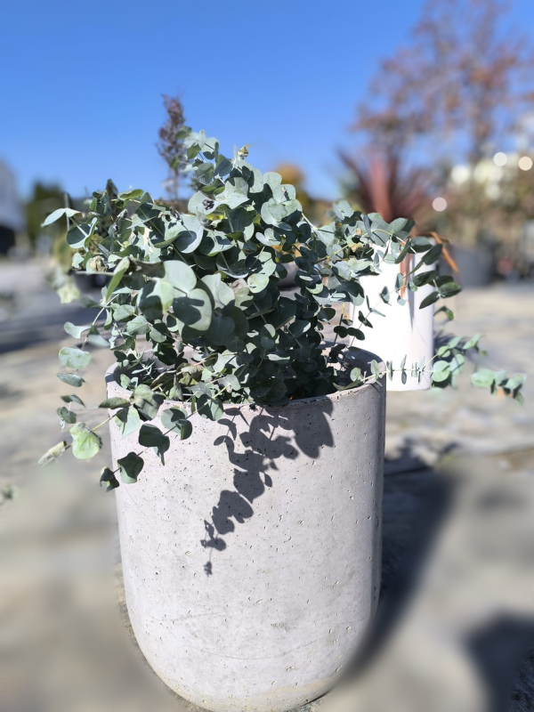 Kvetináč Terratico Fusion Essen S Silver