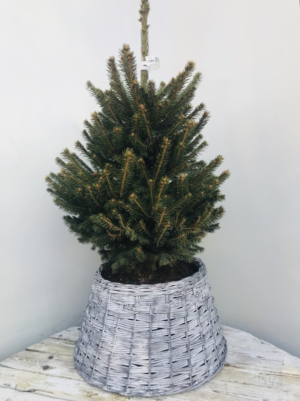 Prútený kôš  bielo-šedý