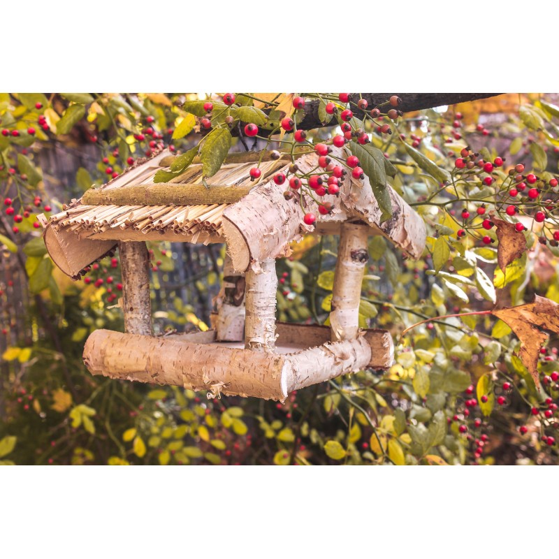 Krmítko pre vtáčiky č.2