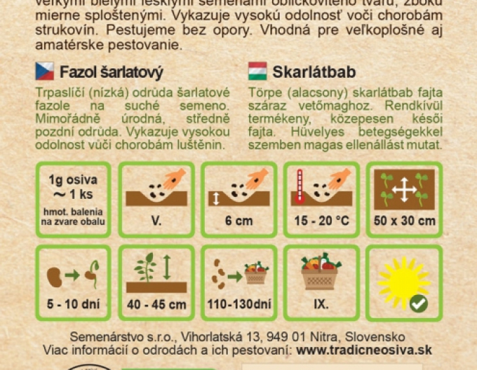 Semenárstvo Fazuľa šarlátová – trpazlíčia ´Kontra´