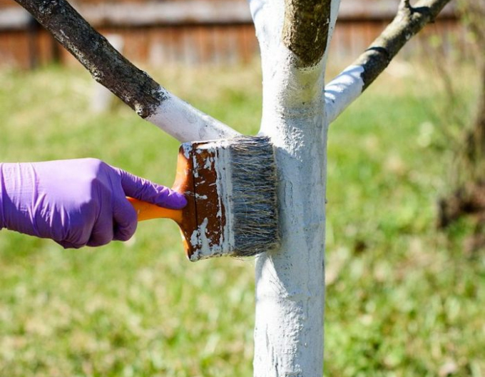 Biovita Vápno na bielenie stromov a kríkov 2kg