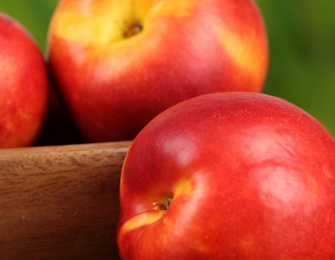 Nektarinka "Stark Red Gold" neskorá, podp. GF677, voľnok.