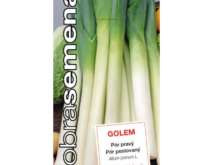 Dobrá semena Pór pestovaný ´Golem´