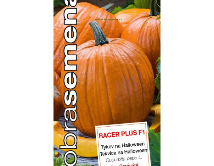 Dobrá semena Tekvica veľkoplodá ´Racer Plus F1´