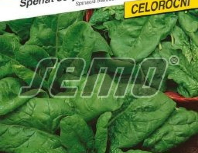 Semo Špenát siaty ´Sacramento F1´