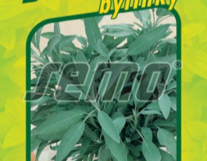 Semo Šalvia lekárska