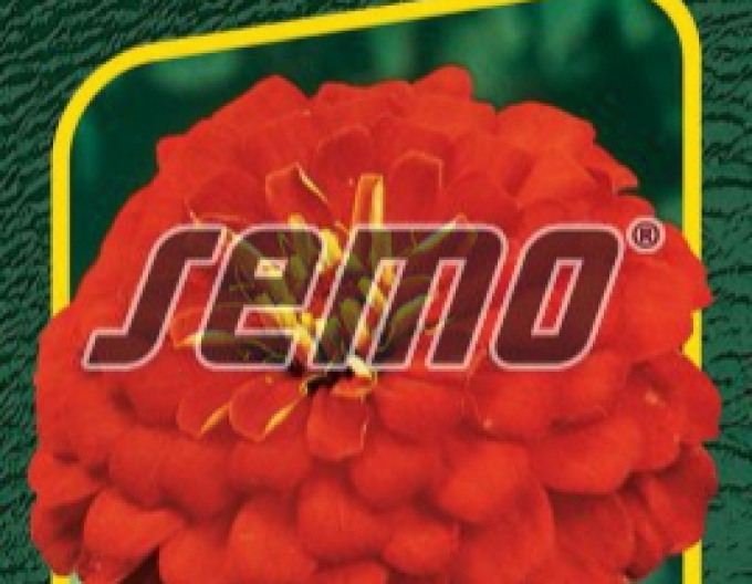 Semo Cínia ´Cherry Queen´