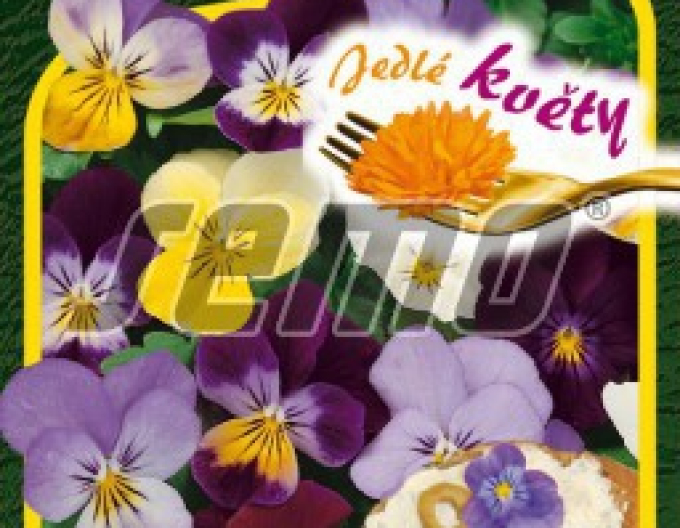 Semo Fialka ostrohatá ´Jedlé kvety´