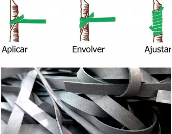 Štepárska gumička 240x8mm