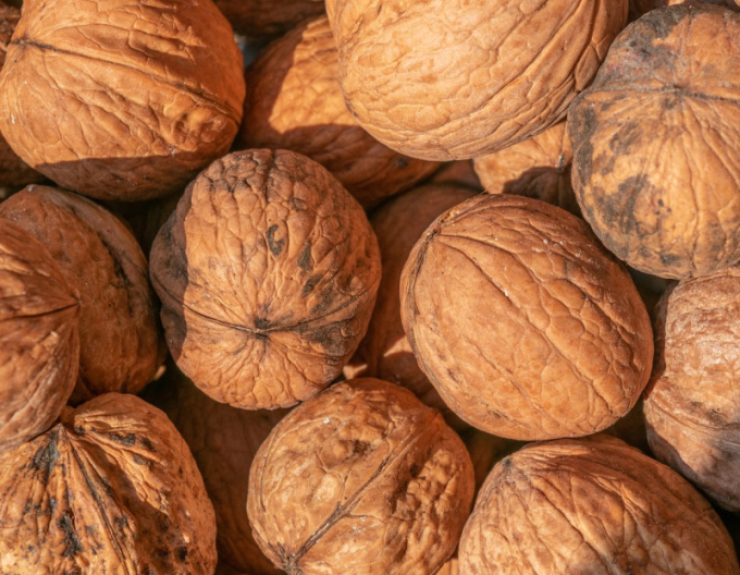 Orech ´Fernor´, voľnok.