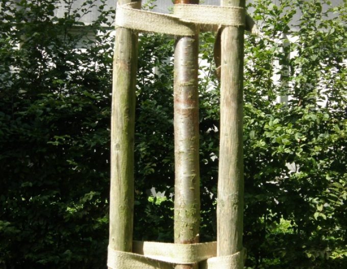 Viazací popruh na stromy  šírka 35mm, dĺžka 50m