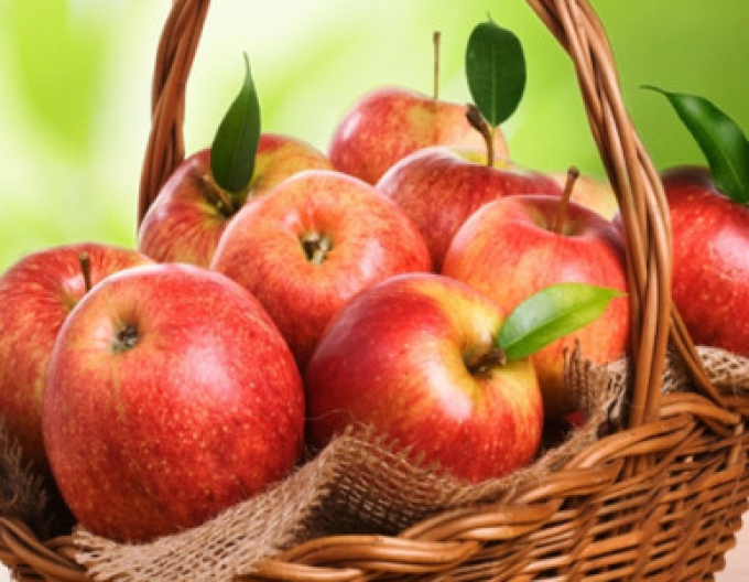 Jabloň Jonagold zimná, podpn.A2, voľnok.