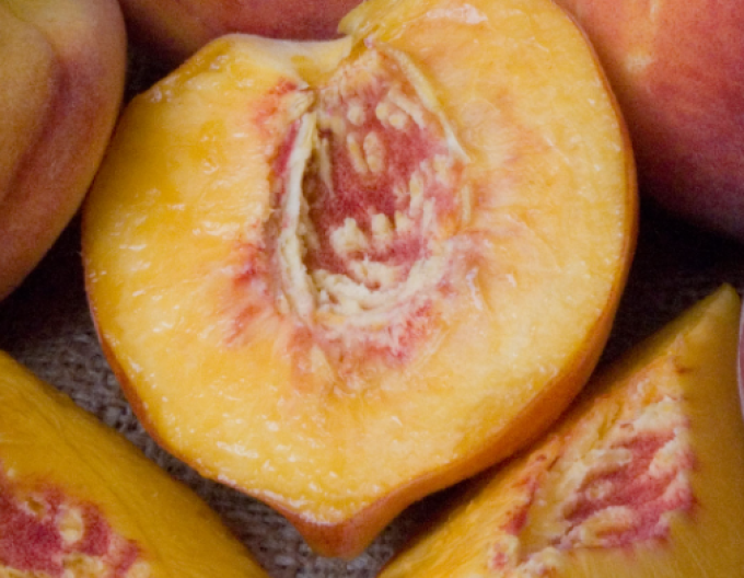 Nektarinka zakrslá Mini ´HONEY GOLD´, podp. Semenáč, voľnok.