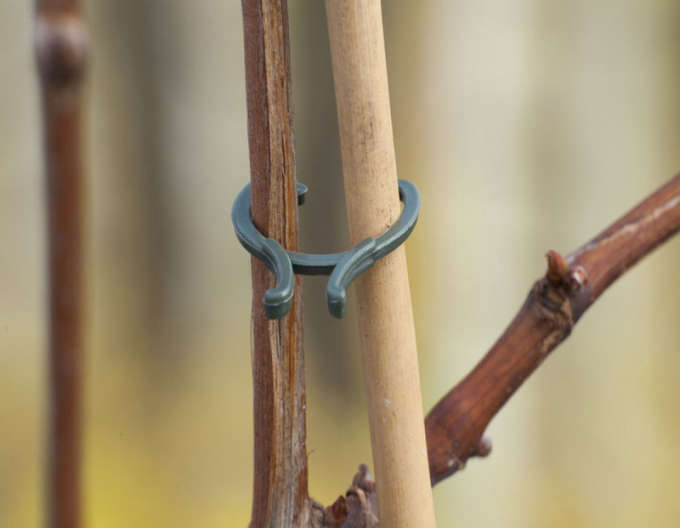 Spony upínacie na rastliny 20mm