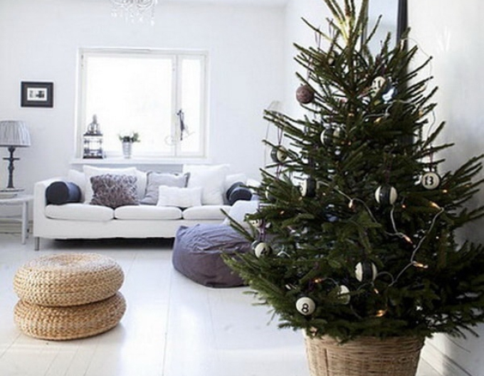 Smrek pichľavý 125/150 cm, kont.