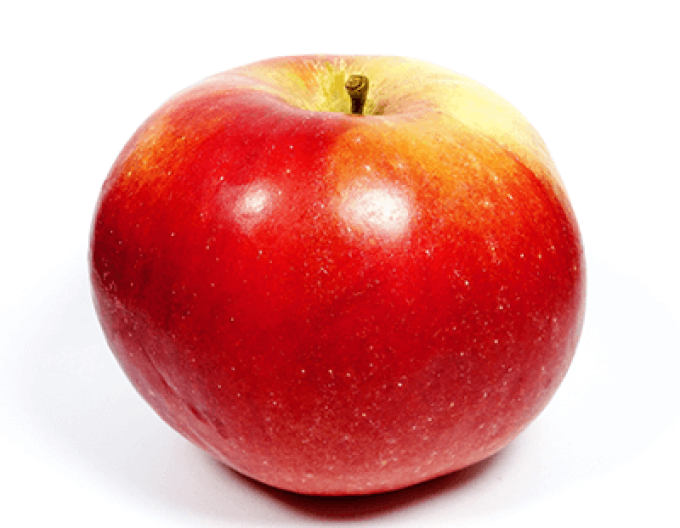 Jabloň ´Idared´ zimná, podp. M9, kont. 5l