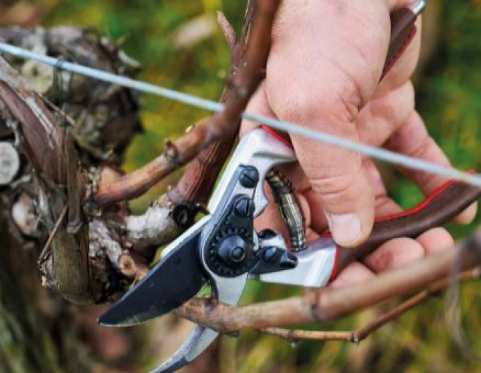 FELCO 6 Elite  Záhradné nožnice